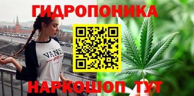 mdpv Бийск